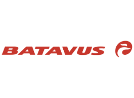 batavus logo