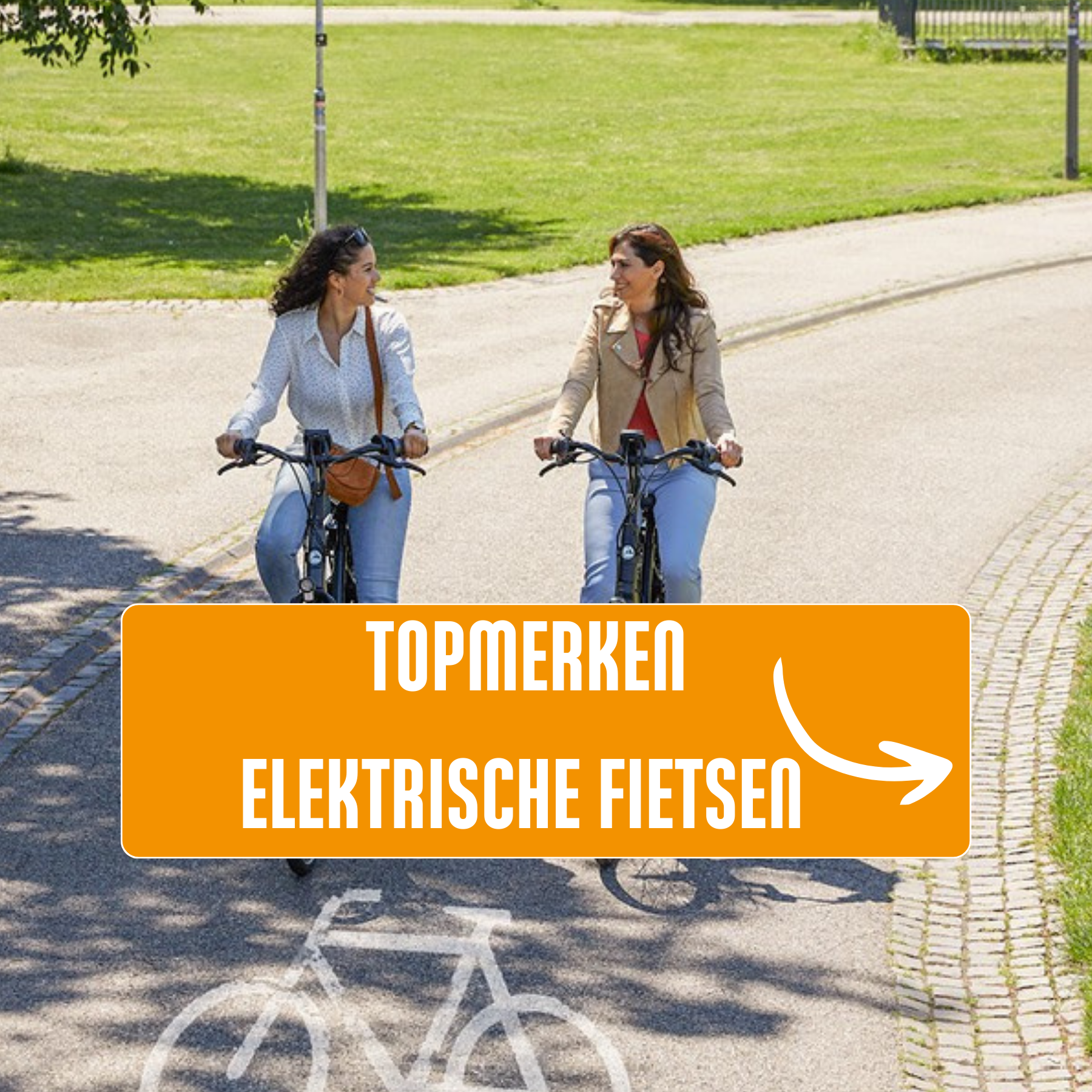 Topmerken Elektrische fietsen